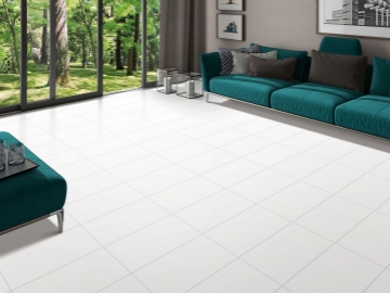 Picture of Tesoro - Delhi 12 x 24 Polished Arctic White