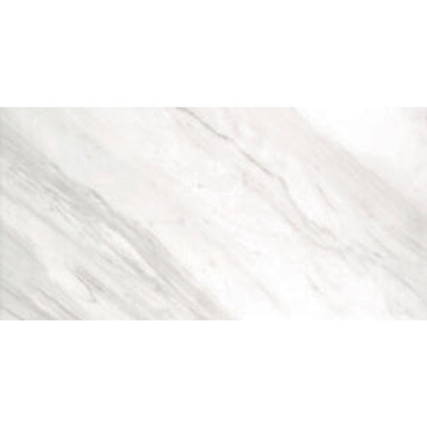 Picture of Tesoro - Delray II 12 x 24 Moon Matte
