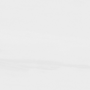 Picture of Tesoro - Dolomite 12 x 24 Bianco