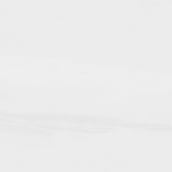 Picture of Tesoro - Dolomite 12 x 24 Bianco