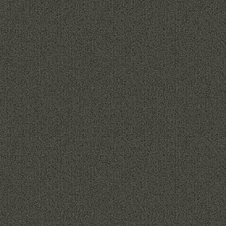 Picture of Patcraft - Color Choice Dolphin