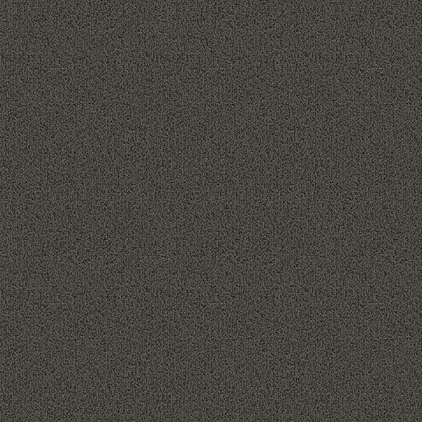 Picture of Patcraft - Color Choice Dolphin