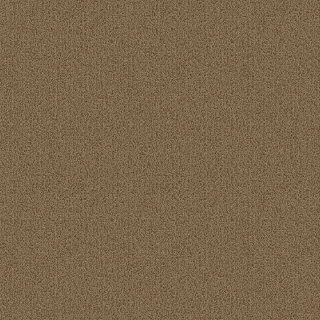 Picture of Patcraft - Color Choice Gilded