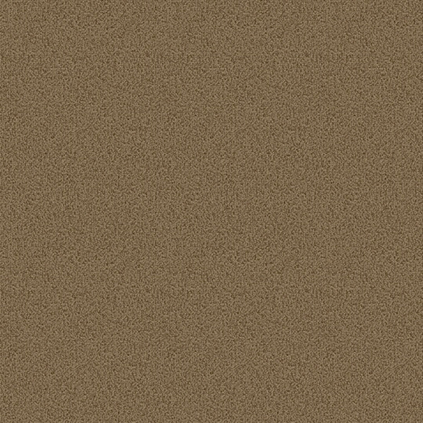 Picture of Patcraft - Color Choice Gilded