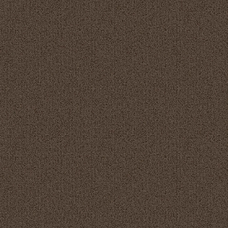 Picture of Patcraft - Color Choice Portabella