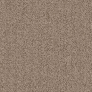 Picture of Patcraft - Color Choice Taupe