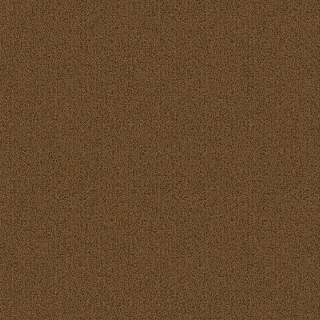 Picture of Patcraft - Color Choice Tobacco