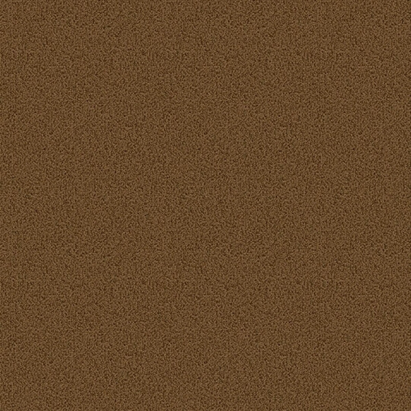 Picture of Patcraft - Color Choice Tobacco