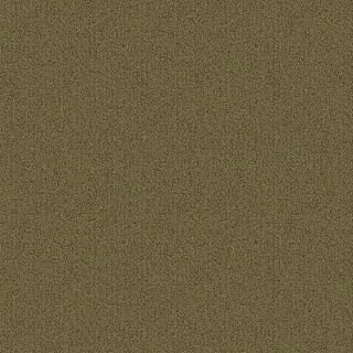 Picture of Patcraft - Color Choice Aloe