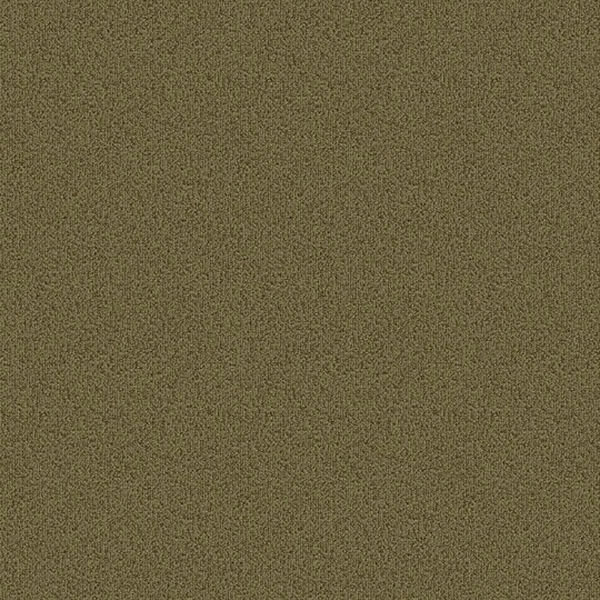 Picture of Patcraft - Color Choice Aloe