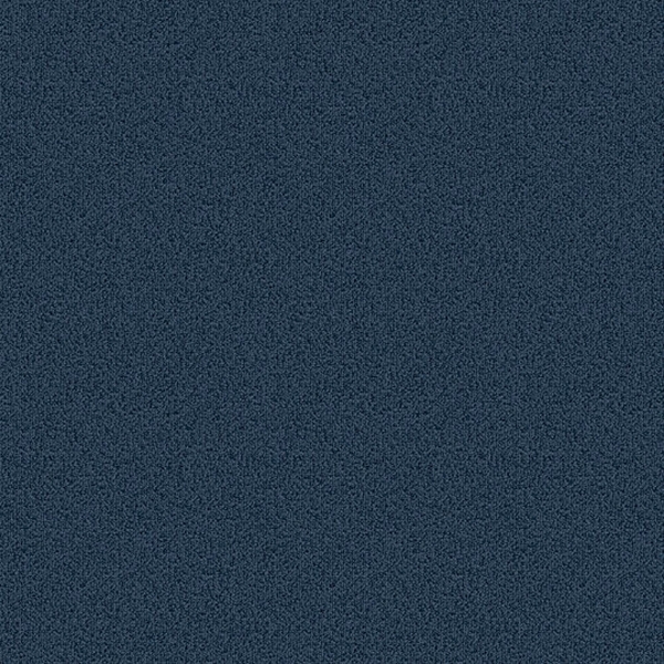 Picture of Patcraft - Color Choice Bluestone