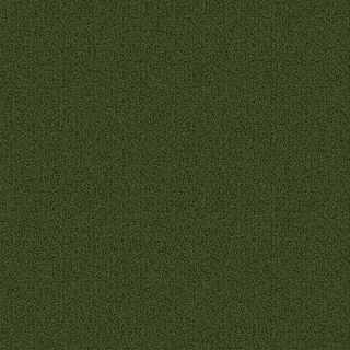 Picture of Patcraft - Color Choice Cactus