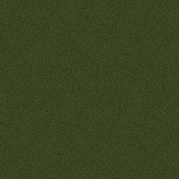 Picture of Patcraft - Color Choice Cactus