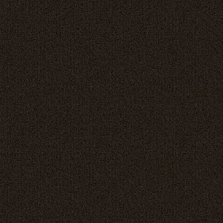Picture of Patcraft - Color Choice Ebony