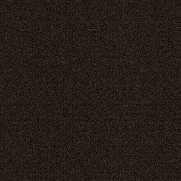Picture of Patcraft - Color Choice Ebony