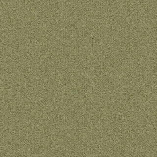 Picture of Patcraft - Color Choice Fescue