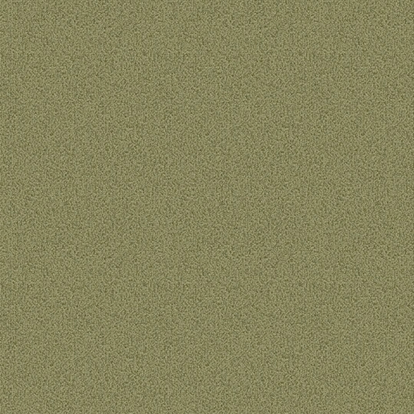 Picture of Patcraft - Color Choice Fescue