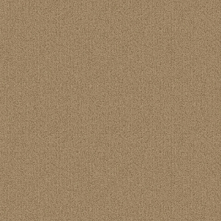 Picture of Patcraft - Color Choice Flax