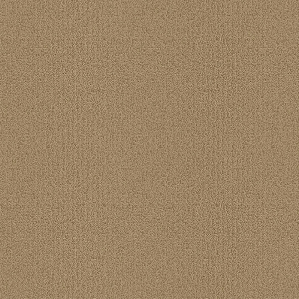 Picture of Patcraft - Color Choice Flax
