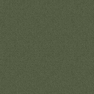 Picture of Patcraft - Color Choice Foliage