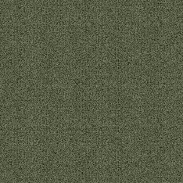 Picture of Patcraft - Color Choice Foliage