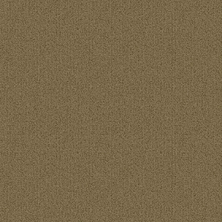 Picture of Patcraft - Color Choice Herbal