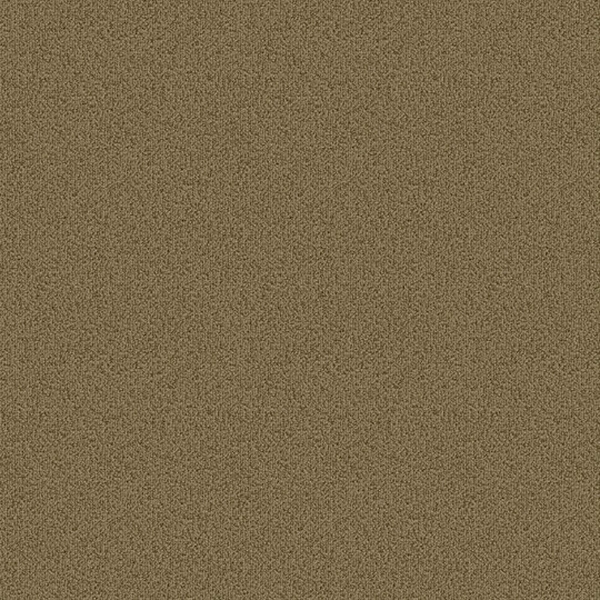 Picture of Patcraft - Color Choice Herbal