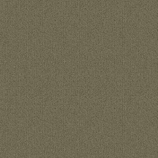 Picture of Patcraft - Color Choice Lichen