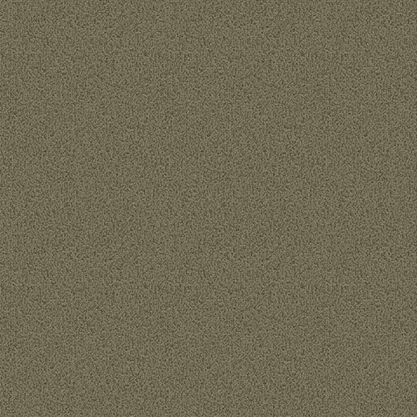 Picture of Patcraft - Color Choice Lichen