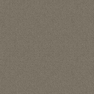 Picture of Patcraft - Color Choice Light Taupe