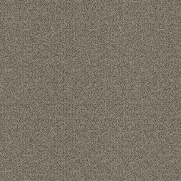 Picture of Patcraft - Color Choice Light Taupe
