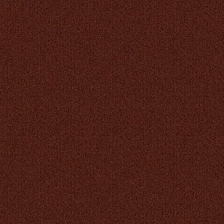 Picture of Patcraft - Color Choice Mahogany