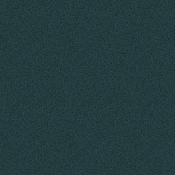 Picture of Patcraft - Color Choice Nordic