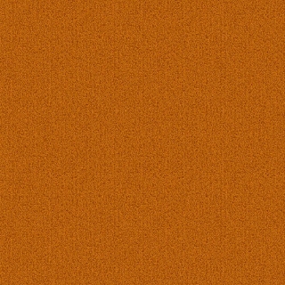 Picture of Patcraft - Color Choice Orange