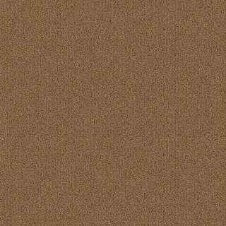 Picture of Patcraft - Color Choice Pecan