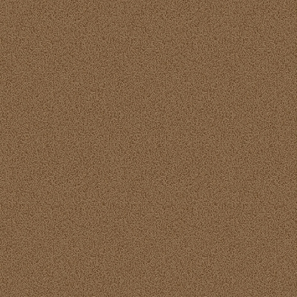 Picture of Patcraft - Color Choice Pecan