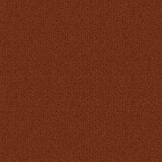 Picture of Patcraft - Color Choice Russet