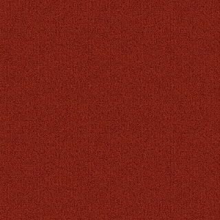 Picture of Patcraft - Color Choice Sundried
