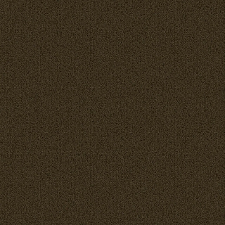 Picture of Patcraft - Color Choice Timber