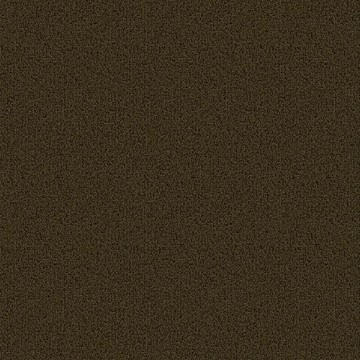 Picture of Patcraft - Color Choice Timber