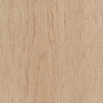 Picture of Patcraft - Wood + Weald Willow-V2