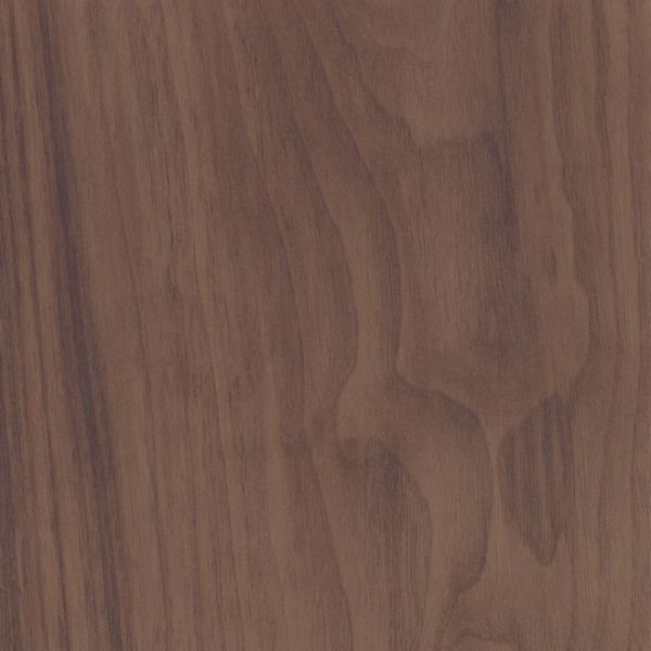 Picture of Patcraft - Wood + Weald Acorn-V2