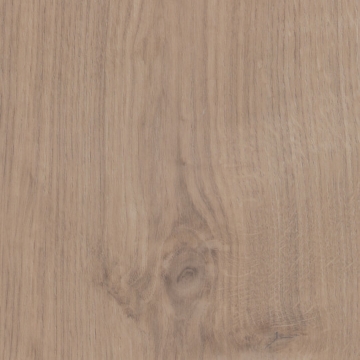 Picture of Patcraft - Wood + Weald Arbor-V2