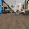 Picture of Happy Feet Intl. - All Star Cocoa