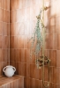 Picture of Bedrosians - Makoto Umi Terracotta