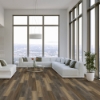 Picture of Happy Feet Intl. - Pinnacle Manchester