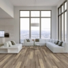 Picture of Happy Feet Intl. - Pinnacle Argyll