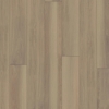 Picture of Happy Feet Intl. - Regency English Rose
