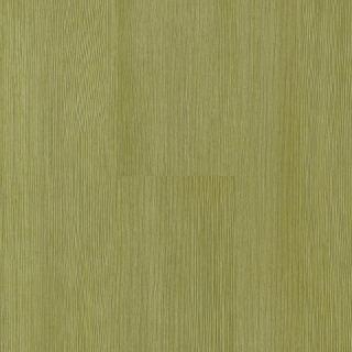 Picture of Tarkett - ID Latitude Abstract 6 x 36 Colorgrain Fern