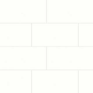 Picture of Bedrosians - Shandar 12 x 24 Plain White Polished
